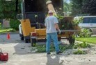 Paupongtree-cutting-services-13.jpg; ?>